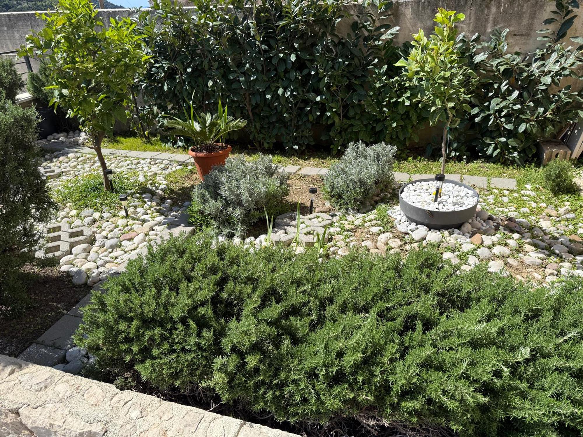 Lemon Tree Dubrovnik Apartments المظهر الخارجي الصورة